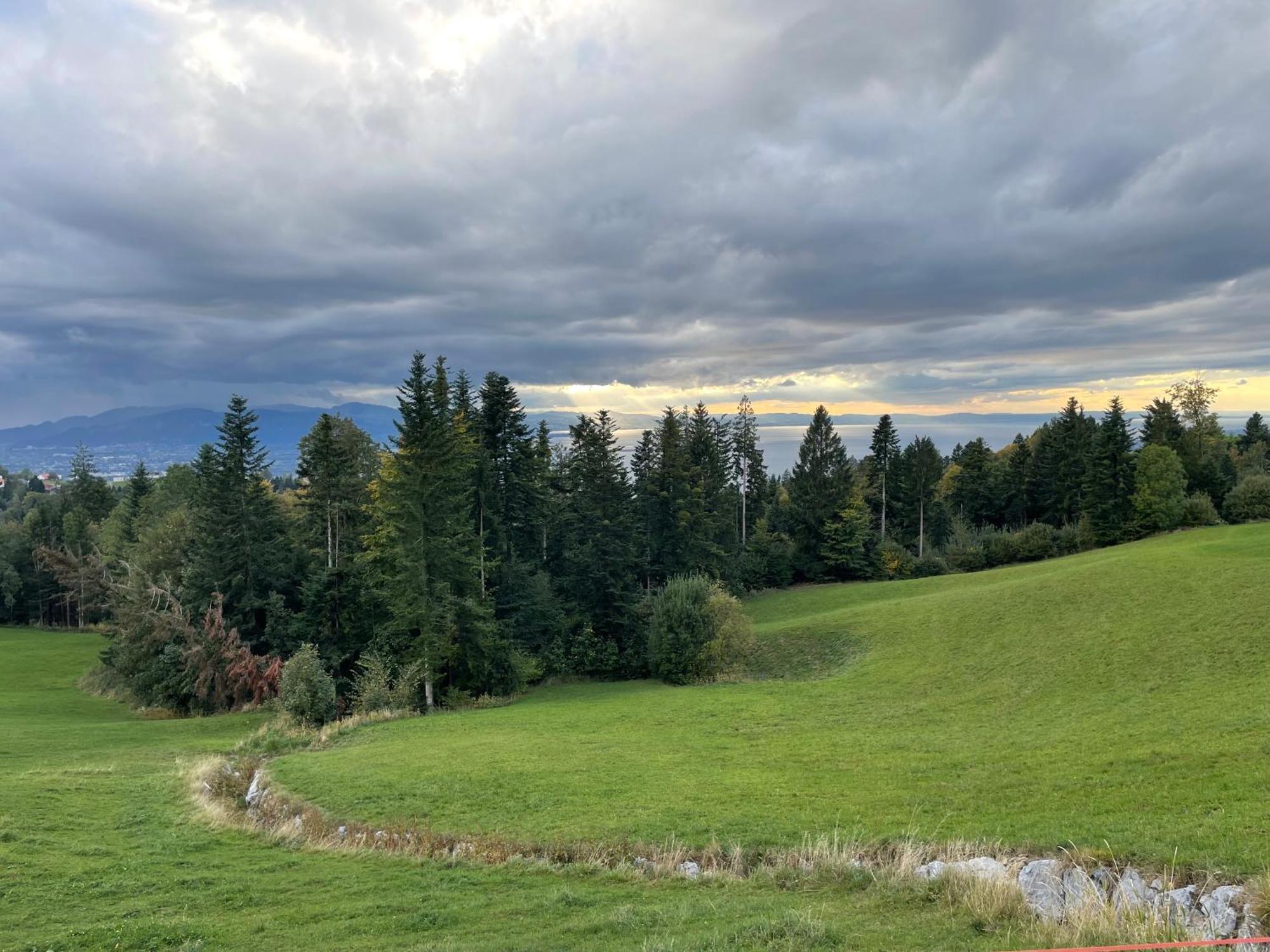 Eichen-Chalet Villa Eichenberg Szoba fotó